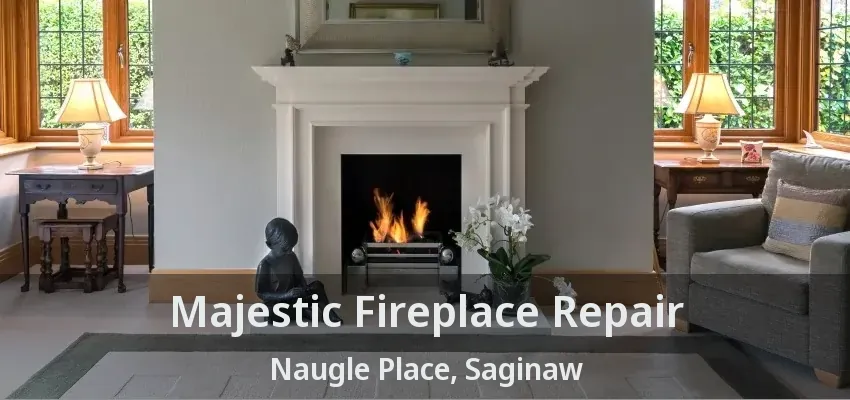 Majestic Fireplace Repair Naugle Place, Saginaw - TX