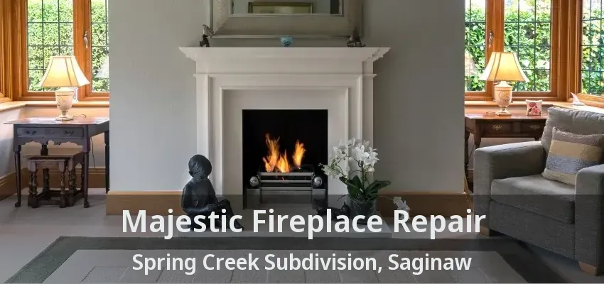 Majestic Fireplace Repair Spring Creek Subdivision, Saginaw - TX