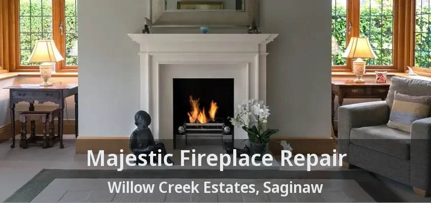 Majestic Fireplace Repair Willow Creek Estates, Saginaw - TX