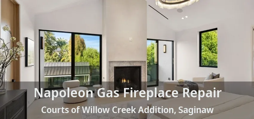Napoleon Gas Fireplace Repair Courts of Willow Creek Addition, Saginaw - TX
