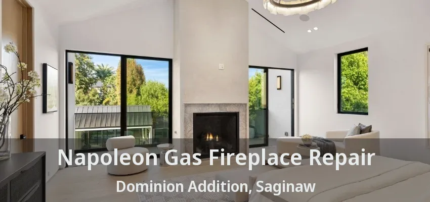 Napoleon Gas Fireplace Repair Dominion Addition, Saginaw - TX