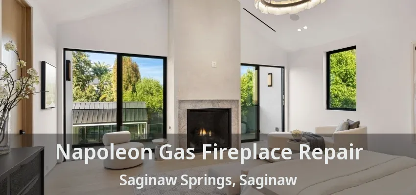 Napoleon Gas Fireplace Repair Saginaw Springs, Saginaw - TX