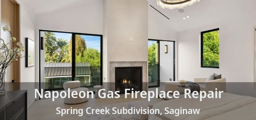 Napoleon Gas Fireplace Repair Spring Creek Subdivision, Saginaw - TX