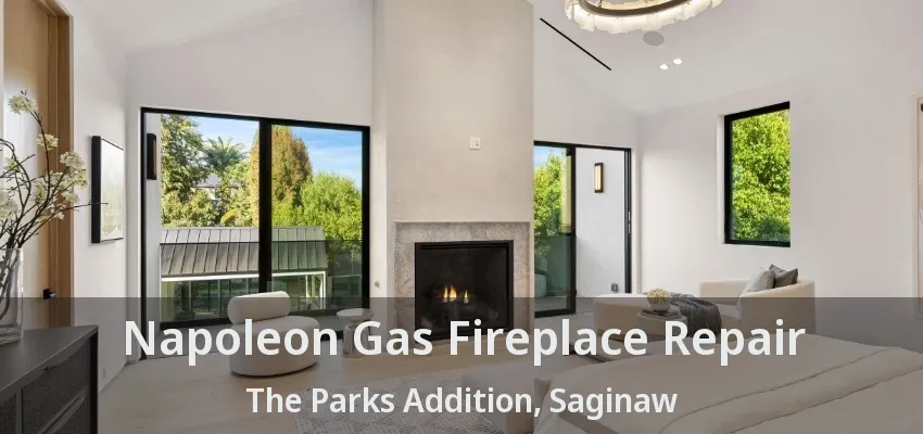 Napoleon Gas Fireplace Repair The Parks Addition, Saginaw - TX