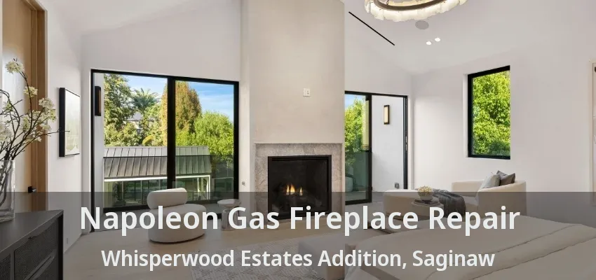 Napoleon Gas Fireplace Repair Whisperwood Estates Addition, Saginaw - TX