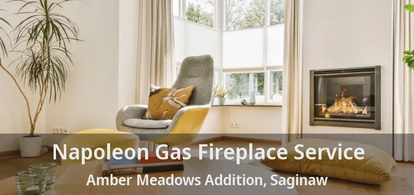 Napoleon Gas Fireplace Service Amber Meadows Addition, Saginaw - TX Napoleon Gas Fireplace Service Amber Meadows Addition, Saginaw - TX