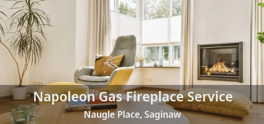 Napoleon Gas Fireplace Service Naugle Place, Saginaw - TX Napoleon Gas Fireplace Service Naugle Place, Saginaw - TX