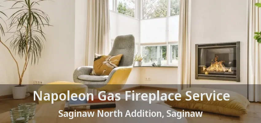 Napoleon Gas Fireplace Service Saginaw North Addition, Saginaw - TX Napoleon Gas Fireplace Service Saginaw North Addition, Saginaw - TX