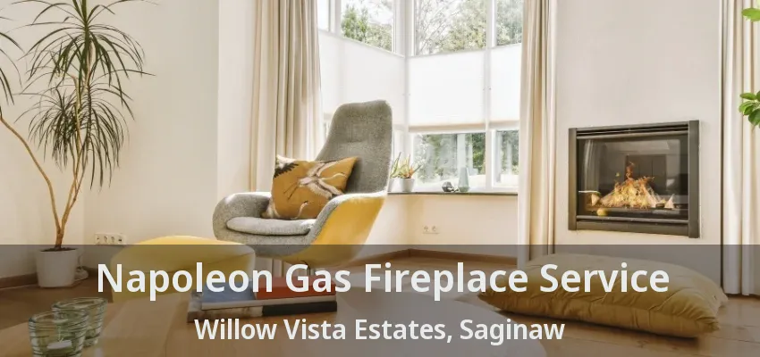 Napoleon Gas Fireplace Service Willow Vista Estates, Saginaw - TX Napoleon Gas Fireplace Service Willow Vista Estates, Saginaw - TX