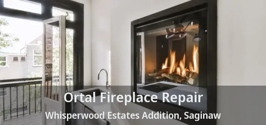 Ortal Fireplace Repair Whisperwood Estates Addition, Saginaw - TX