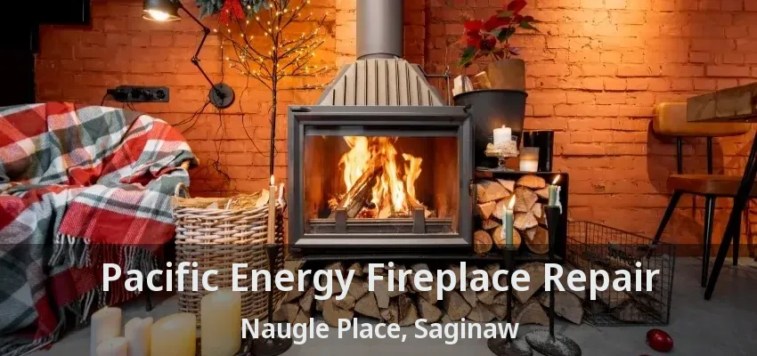 Pacific Energy Fireplace Repair Naugle Place, Saginaw - TX