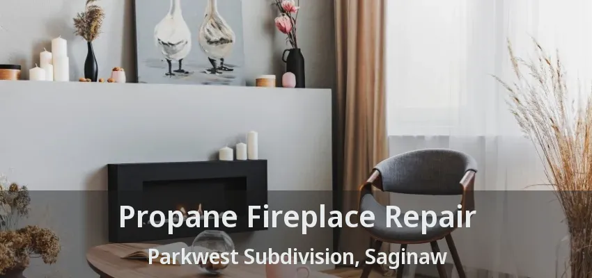 Propane Fireplace Repair Parkwest Subdivision, Saginaw - TX