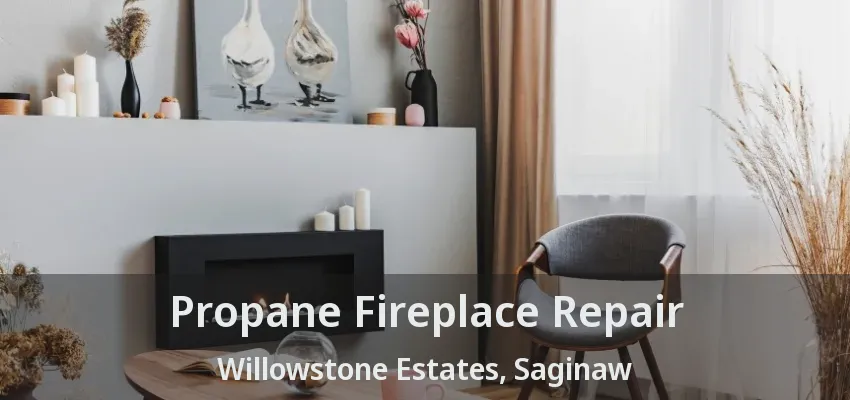 Propane Fireplace Repair Willowstone Estates, Saginaw - TX