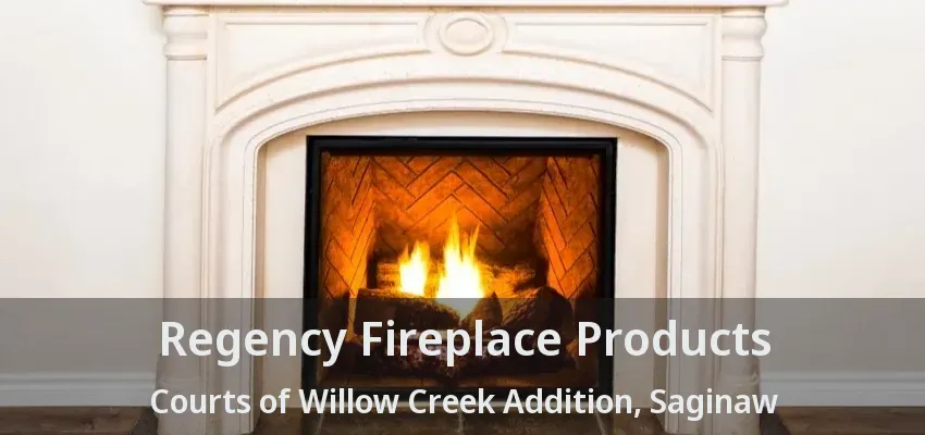 Regency Fireplace Products Courts of Willow Creek Addition, Saginaw - TX