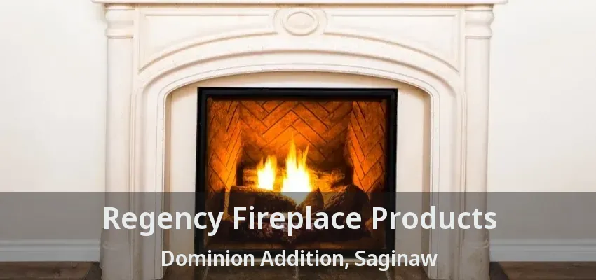 Regency Fireplace Products Dominion Addition, Saginaw - TX Regency Fireplace Products Dominion Addition, Saginaw - TX