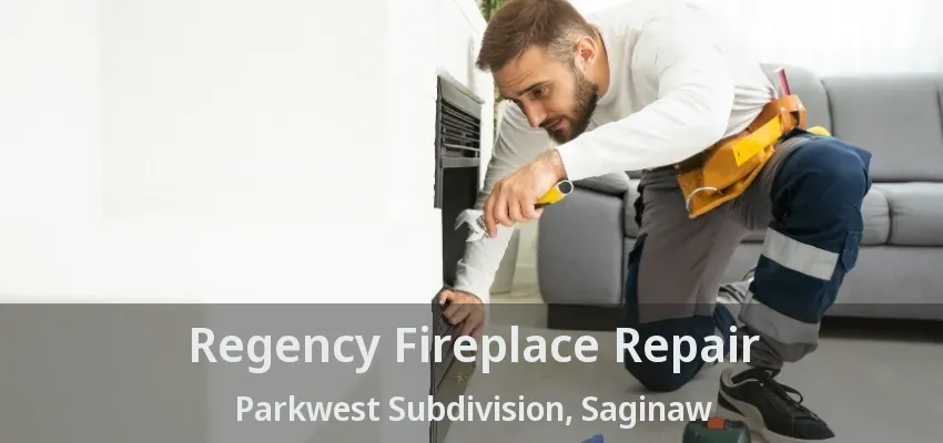 Regency Fireplace Repair Parkwest Subdivision, Saginaw - TX