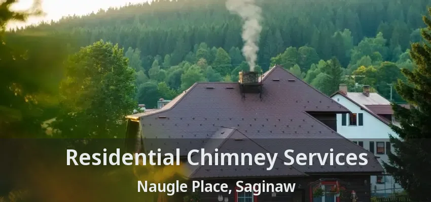 Residential Chimney Services Naugle Place, Saginaw - TX