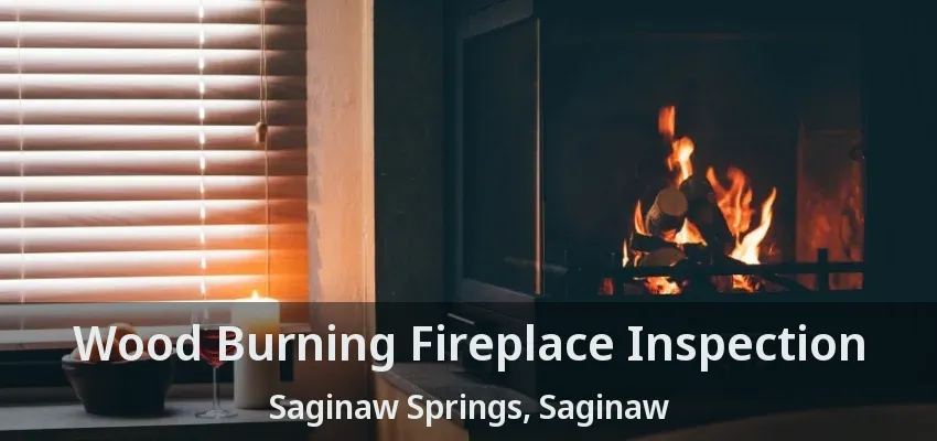 Wood Burning Fireplace Inspection Saginaw Springs, Saginaw - TX