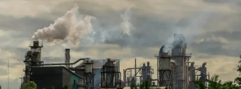 Book for Chimney Flue Services