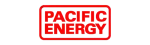 Pacific Energy Enviro Fireplace Repair in Saginaw