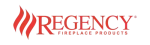 Regency Enviro Fireplace Repair in Saginaw